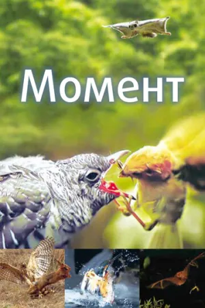 Момент (сериал 2016)