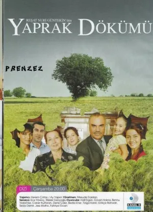 Листопад (сериал 2006)