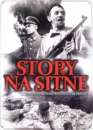 Следы ведут в пропасть (1969)
